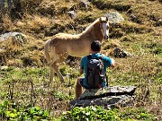 32 Il puledro sfila davanti al fotografo